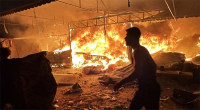 Over 200 killed, 300,000 displaced in Gaza within 48hr